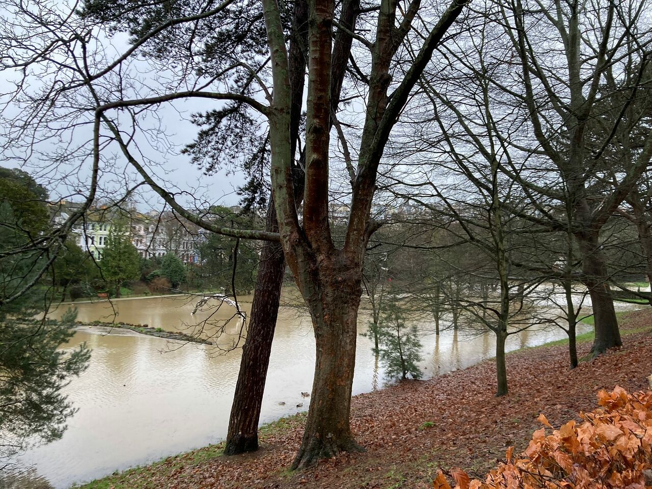 File:16th Jan 2023 Flooding Alexandra Park 2.jpg