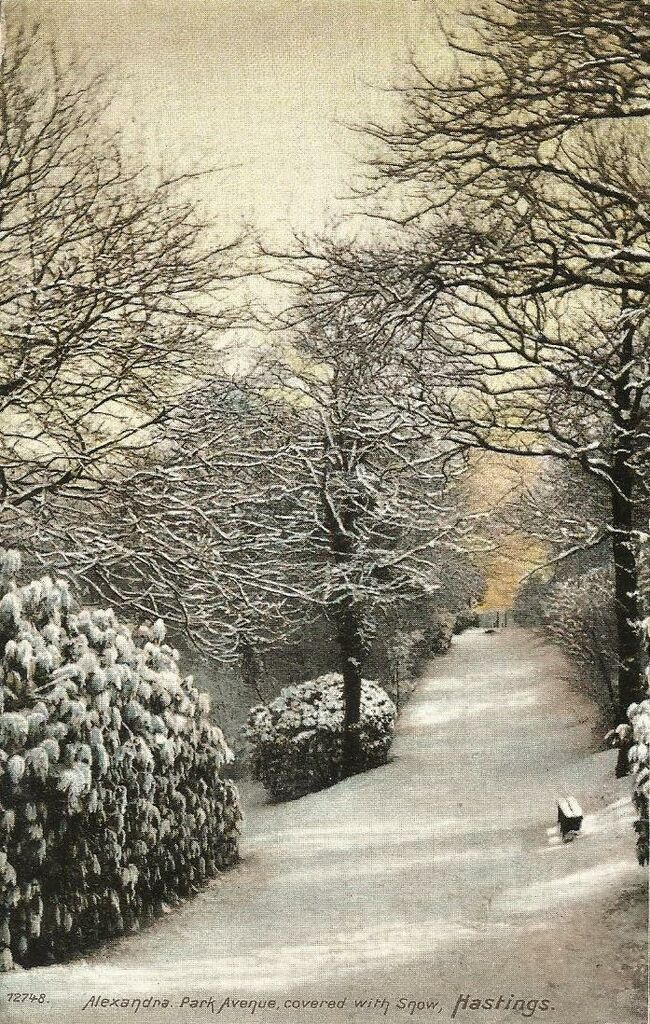 File:Alexandra-Park-in-the-deep-crisp-snow.-1904..jpg