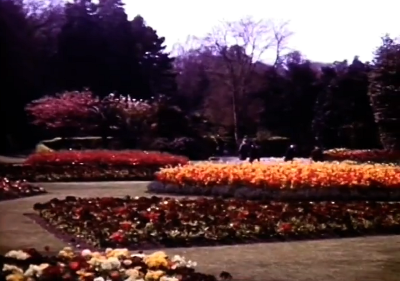 File:Alexandra Park Flower beds.png