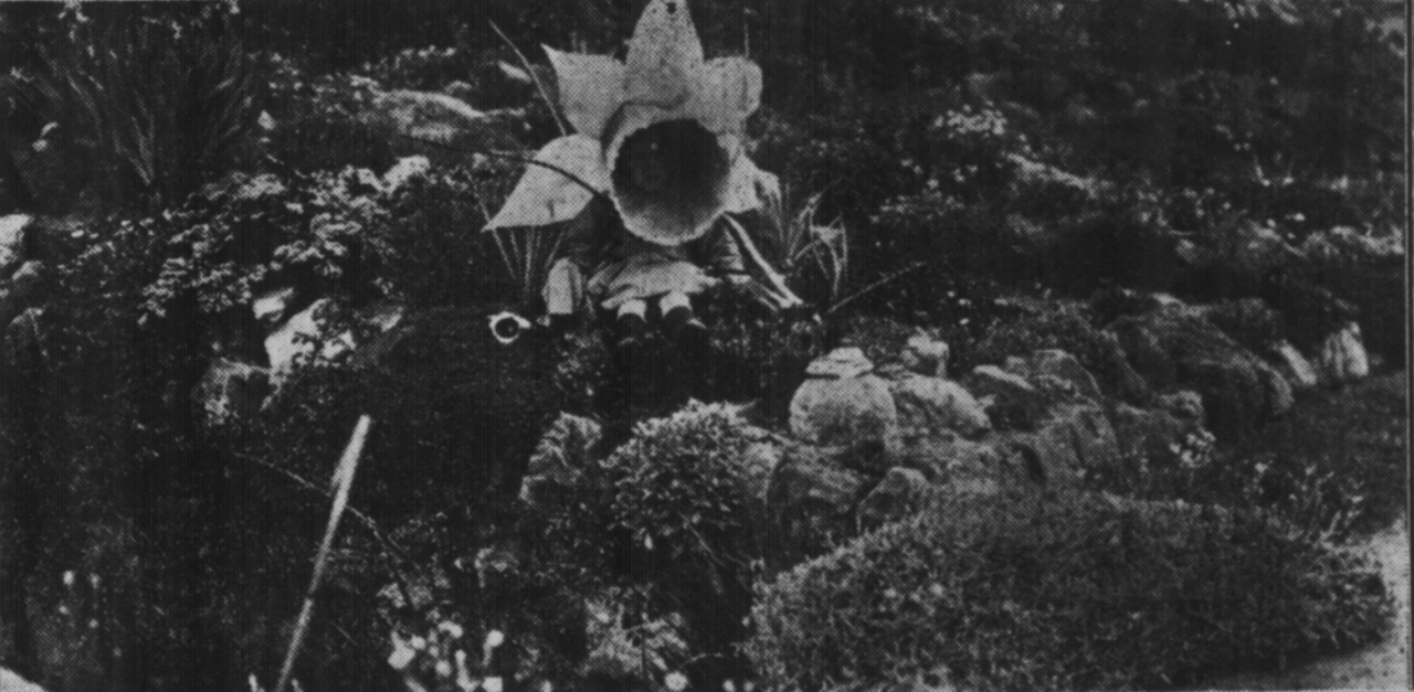 File:Hastings Carnival 1923 07.png
