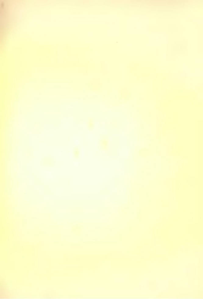 File:History of Hastings Castle Vol. 2.pdf