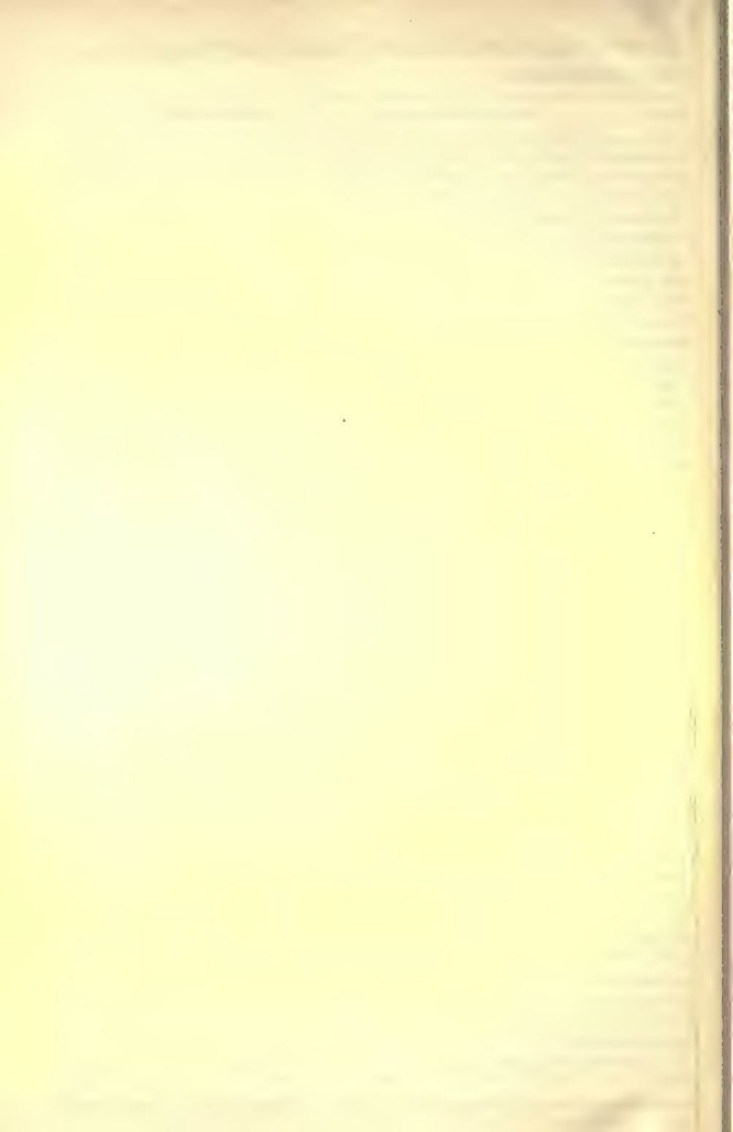 File:History of Hastings Castle Vol. 2.pdf