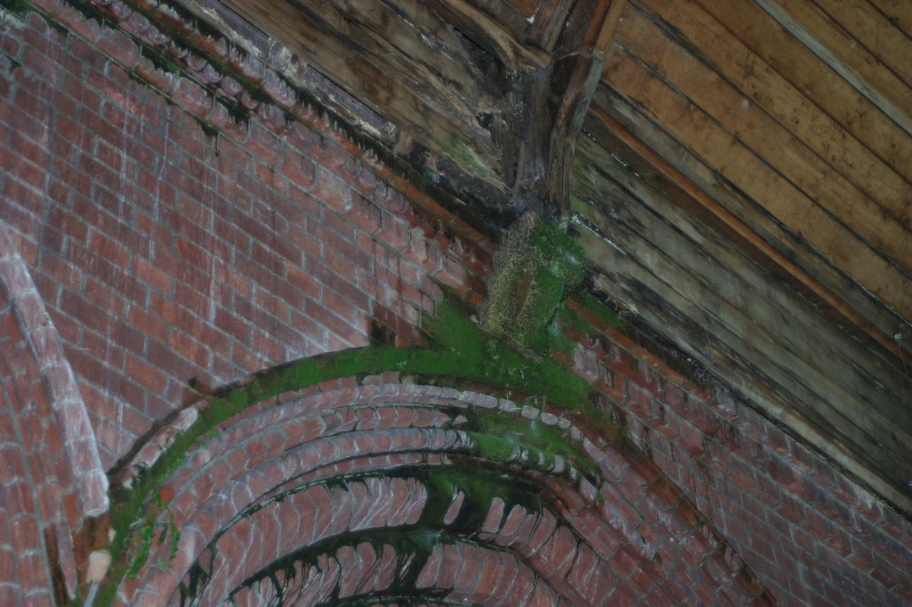 File:Ingress of water causing growth of vegetation All Souls.jpg
