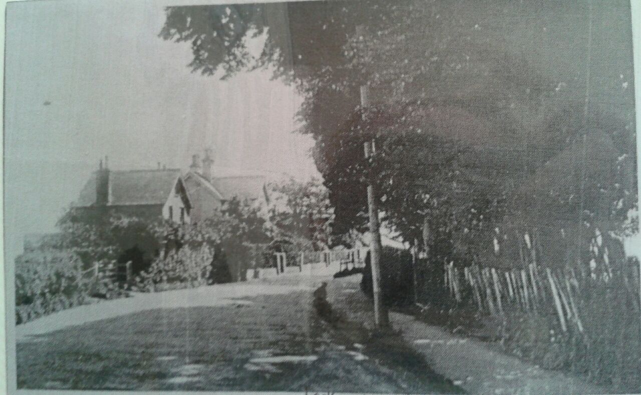 File:Wishing tree road c1900 - Flickr - lkennedy1480.jpg